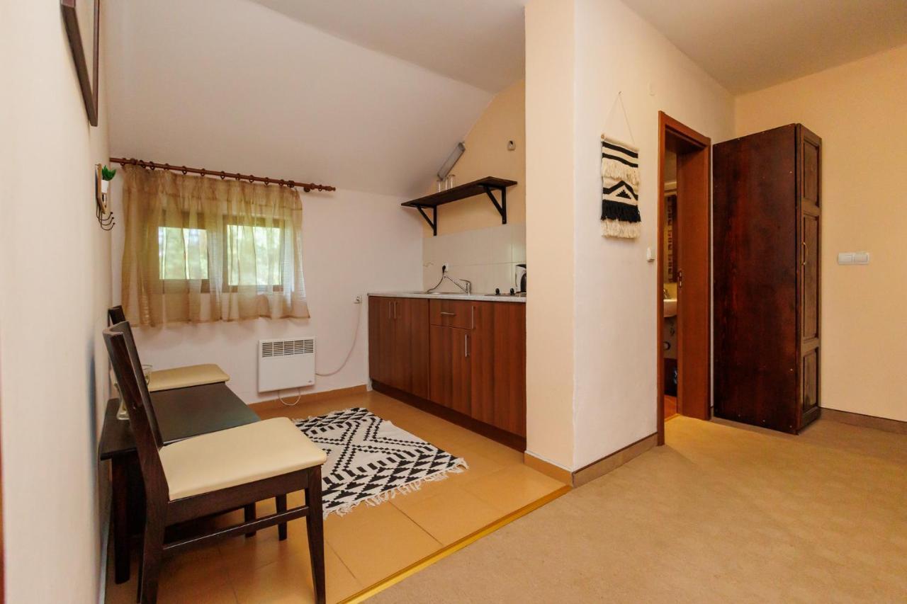 Конна База И Къща За Гости Дворене Razlog Extérieur photo